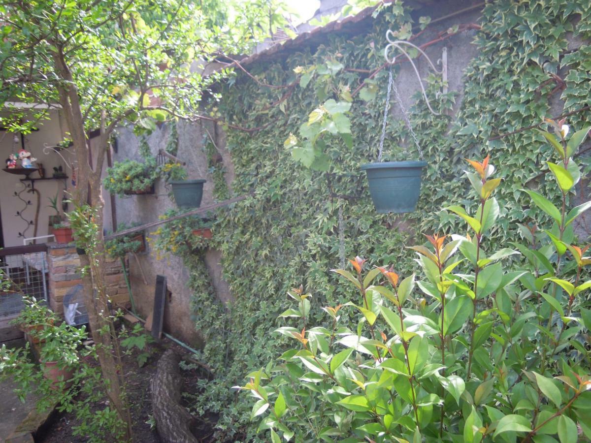 Angie'S Shared Villa Tam Tirana Extérieur photo